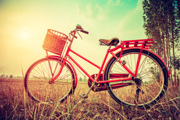 Vintage Bicycle with summer landscape background