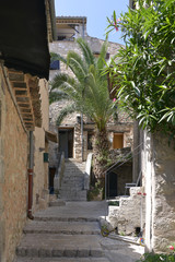 Alley and palm tree of village Tourrettes-sur-Loup, a commune in the Alpes-Maritimes department in southeastern France