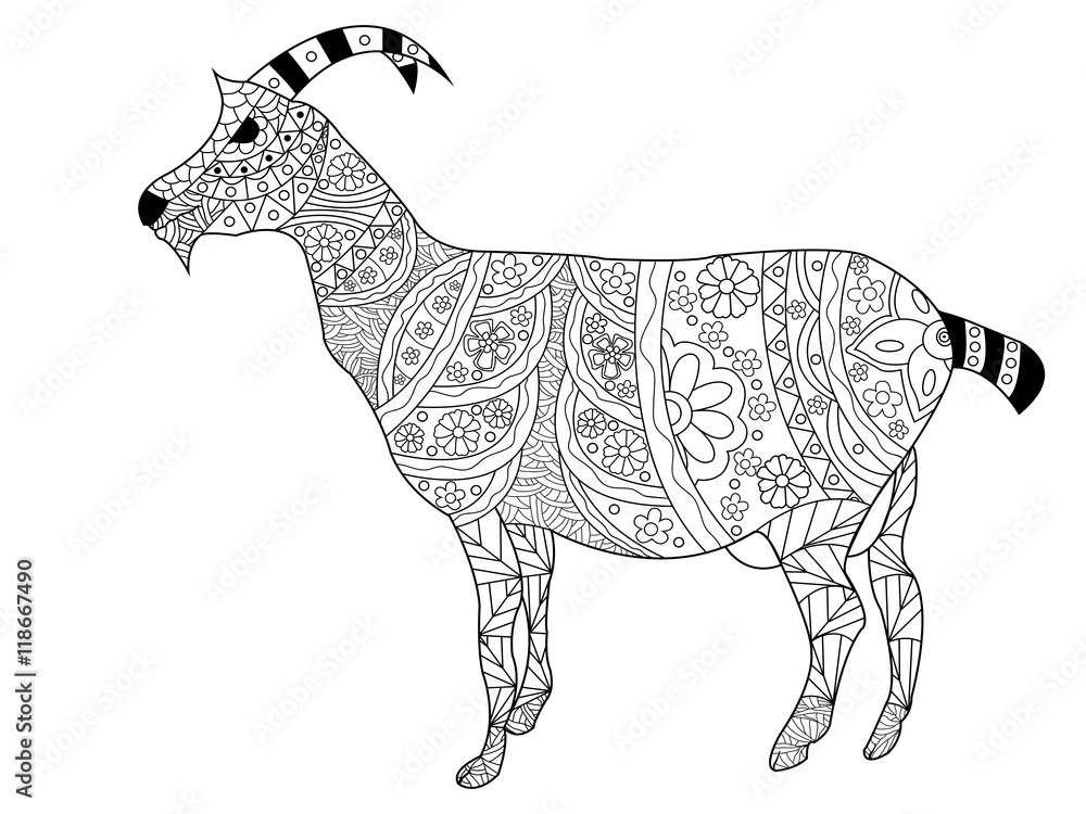 Wall mural Goat Coloring vector for adults