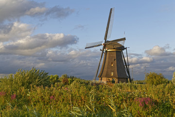 windmills in the sunset