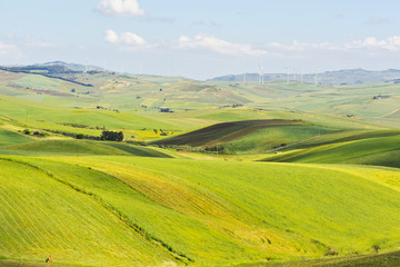 Obraz premium Fields on the Hills