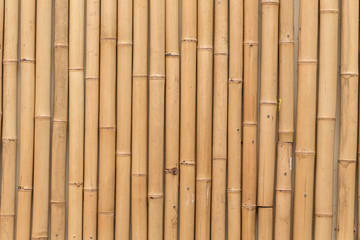bamboo texture on wall