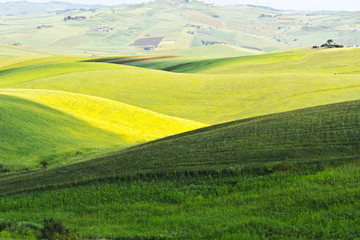 Obraz premium Hills of Sicily