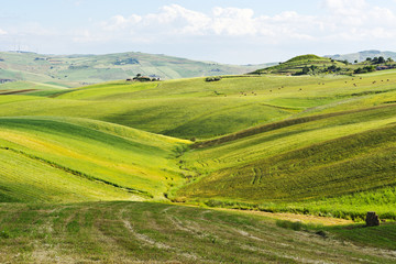 Obraz premium Hills of Sicily
