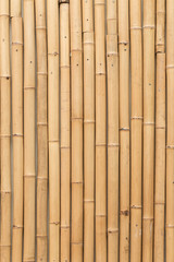 bamboo texture on wall