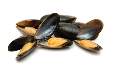 mussels isolated