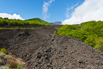 Congealed Black Lava