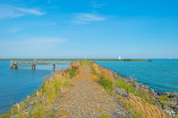 Obraz premium Jetty in a marina in summer