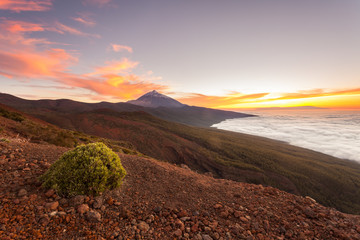 Teneriffa - Kanarische Inseln - Spanien