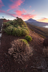 Teneriffa - Kanarische Inseln - Spanien
