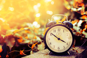 Old alarm clock between yellow leaves in the nature and summer season sun light