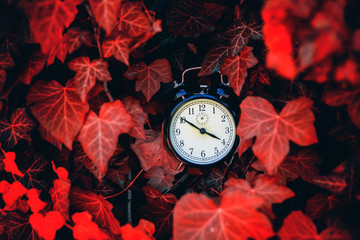 Old alarm clock between red leaves in the nature season