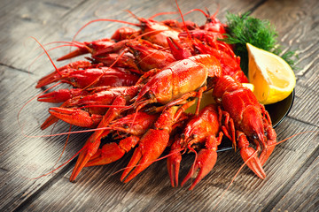 Crayfish. Red boiled crawfish on a wooden table in rustic style