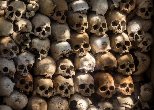 many human skulls