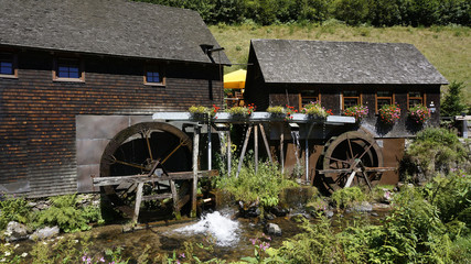 Die Hexenlochmühle im Schwarzwald - 118674652