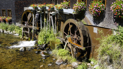 Die Hexenlochmühle im Schwarzwald - 118674676