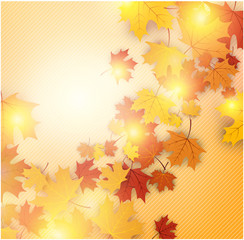Naklejka na ściany i meble Autumn background with maple leaves.