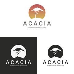 Acacia logo. Africa tree logotype.  - 118678093