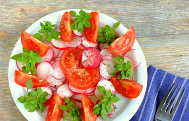 Salat mit Tomaten und Radieschen