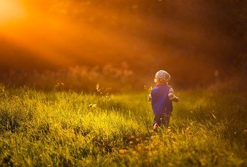 Little caucasian boy playing outdoor in summer.