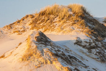 beautiful view of the coastal dunes