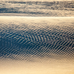 beautiful view of the coastal dunes