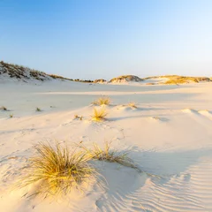 Poster beautiful view of the coastal dunes © masar1920