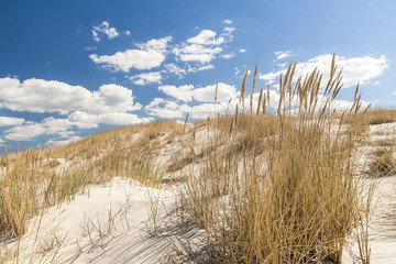 beautiful view of the coastal dunes