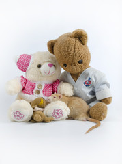 Rats and old soft toys.