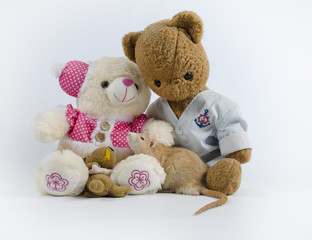 Rats and old soft toys.