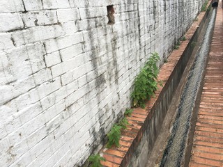 watercourse channel side wall