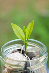 plant growing out of coins