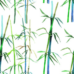 watercolor illustration bamboo
