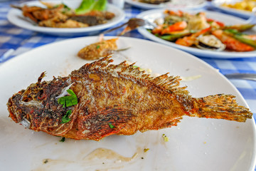 Cyprus seafood Meze at harbourside restaurant