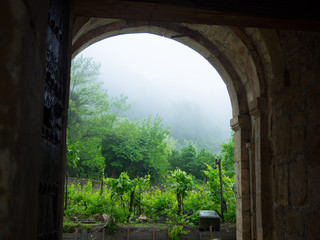Misty garden viewed from behind the arch