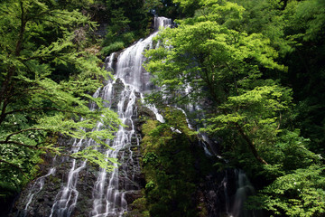 日本の滝百選　龍双ヶ滝　福井県池田町