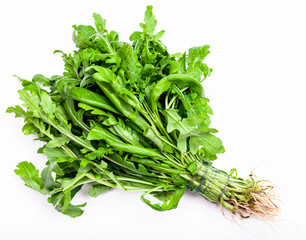 bunch of fresh cut green salad rocket herb