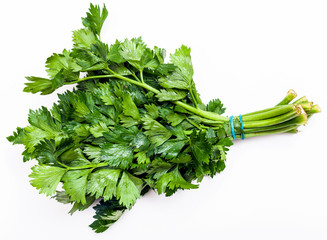 bunch of fresh cut green celery herb on white