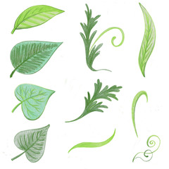 Green leaves. Drawing by hand, colored pencil, crayon