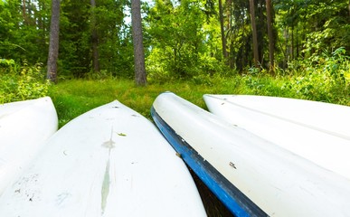 Summer forest landscape with overturned kayaks