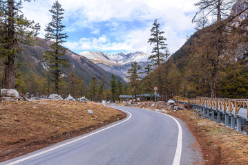 Naklejka premium road to the snow mountain with pine forest on the way.