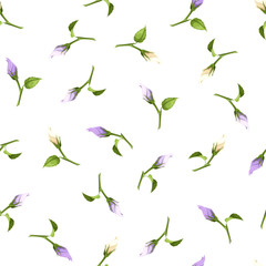 Vector seamless pattern with purple and white flower buds on a white background.