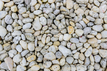 rounded stones white and gray on beach as background texture.
