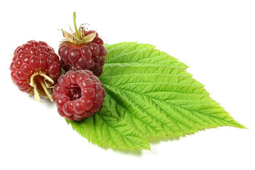 Himbeeren isoliert auf weißem Hintergrund