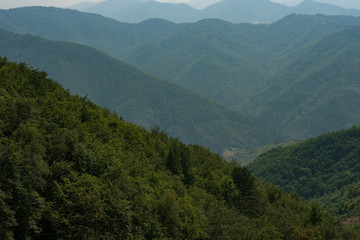 Fototapeta na wymiar Rhodope mountains in the summer, Bulgaria
