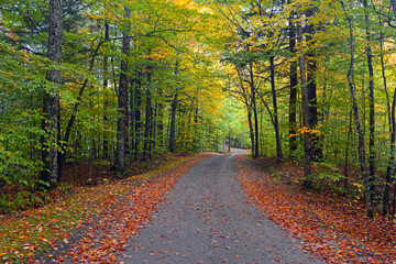 Fall colors, autumn foliage in the Adirondacks, New York