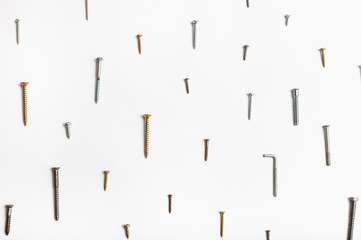 wood screws arranged on white