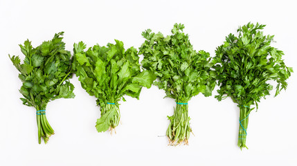 set from fresh cut green herbs on white