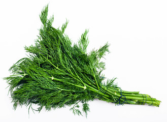 bunch of fresh cut green dill herb on white
