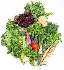heap of bunches from fresh cut greenery